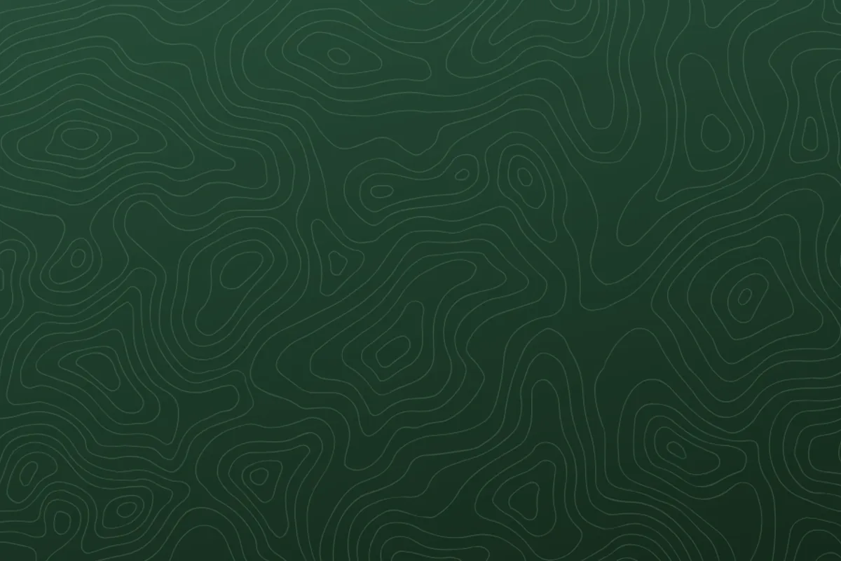 salmon jumping at waterfall